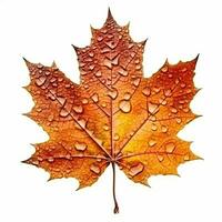 AI generated Single Spring autumn maple leaf with white background Created with generative Ai photo