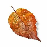 AI generated Single Spring autumn maple leaf with white background Created with generative Ai photo