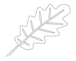 One line drawing of a single oak leaf isolated on white background. vector