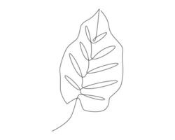 Continuous one single line drawing monstera leaf minimalism vector illustration concept