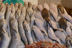 bebé tiburones en el pescado mercado foto