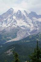 Mt. Rainier, with conifer forest photo