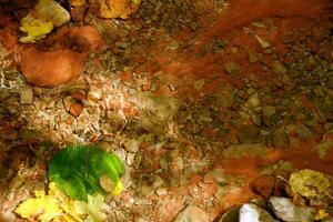 Abstract background patterns - Creek ripples photo