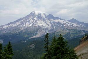 Mt. Rainier, with conifer forest photo