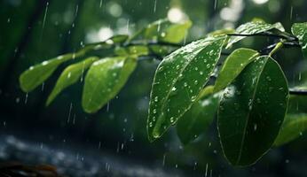 AI generated leaves and rain drops on leaves in the forest photo