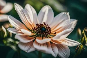 ai generado un cerca arriba de un blanco flor con un abeja foto