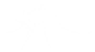 Mosquito Silhouette, can use for Art Illustration Pictogram, Website, and Graphic Design Element. Format PNG