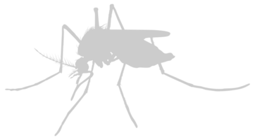 Mosquito Silhouette, can use for Art Illustration Pictogram, Website, and Graphic Design Element. Format PNG