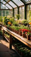 AI generated An image of a clean, modern greenhouse filled with rows of potted plants and flowers photo