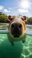 AI generated A relaxing photo of a capybara basking in the sun, enjoying a lazy afternoon