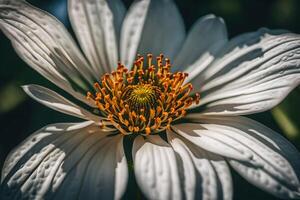 AI generated a white flower with yellow center in the sun photo