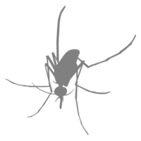 Mosquito Silhouette, can use for Art Illustration Pictogram, Website, and Graphic Design Element. Format PNG