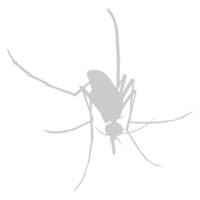 Mosquito Silhouette, can use for Art Illustration Pictogram, Website, and Graphic Design Element. Format PNG