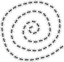 A path of ants running. View from above. Trail ants spiral. vector