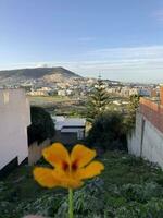 Matin vue de le Urbain paysage video