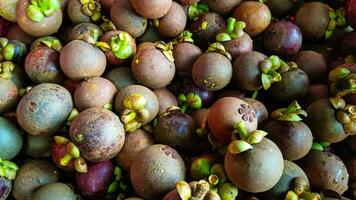 collection of mangosteen fruit ready for sale photo