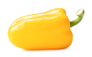 Fresh yellow bell or sweet paprika pepper isolated with clipping path and shadow in png file format. Side view