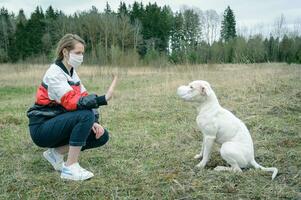 A young girl and a dog in medical masks play in nature. photo
