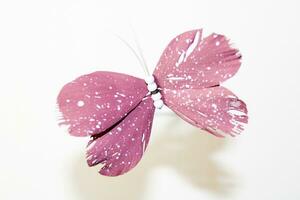 Handmade butterfly made of feathers photo