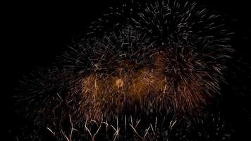 fireworks celebrate the new year video