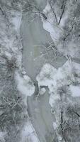 glacial congelado río en frío invierno bosque. aéreo video