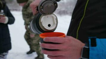 caliente té desde un termo en invierno en el bosque durante un caminata 4k video