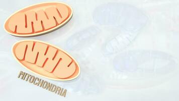 The Mitochondria for sci or health concept 3d rendering. photo