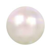 Vector realistic pearl on white background