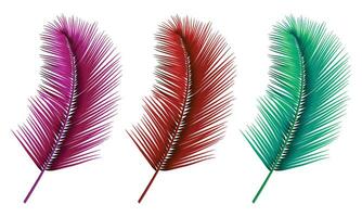 Vector colorful realistic palm leaves isolated on white