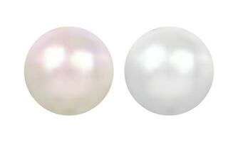 Vector realistic pearl set on white background