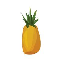 Vector pineapple fresh fruit icon isolated on white