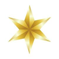 Vector decorative golden star on white background