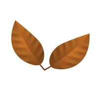 Vector flat autumn forest leave on white background