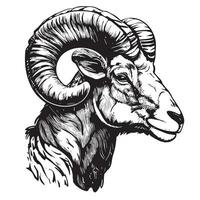 Animal ram portrait hand drawn sketch Vector illustration Farm animals