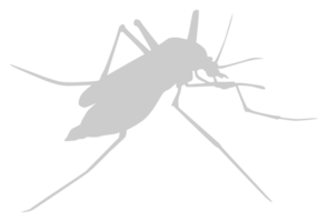 Mosquito Silhouette, can use for Art Illustration Pictogram, Website, and Graphic Design Element. Format PNG