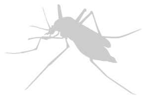 Mosquito Silhouette, can use for Art Illustration Pictogram, Website, and Graphic Design Element. Format PNG