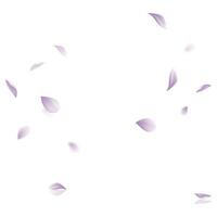 Vector purple leaf vector panoramic on white background