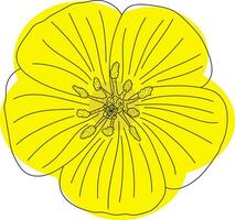 Illustration line of the devil's thorn flower with yellow color. vector