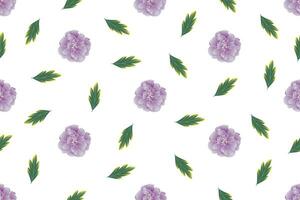 Illustration pattern of soft violet Chinese Rose flower with leaves background. vector