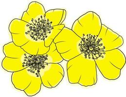 Abstract line rose flower are blooming with yellow color painting on empty background. vector