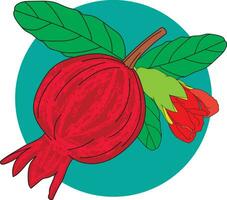 Abstract of Pomegranate , Punica apple and flower with leaves on circle green background. vector