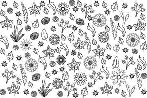 Abstract flower line pattern background. vector