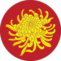 Illustration of Chrysanthemum flower on red circle background. vector