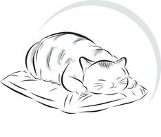 Illustration of the cat is sleeping on the cushion with circle on empty background. vector