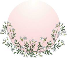 Illustration, Gypsophila flower with soft pink circle on white background. vector