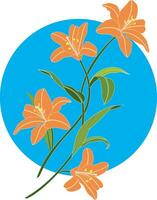 Illustration bouquet of orange lily flower on blue circle background. vector