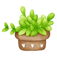 Garden pot with cute pastel watercolor style isolated png