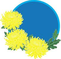 Illustration of Yellow Chrysanthemum flower with leaf on blue circle background. vector