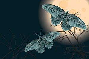 Illustration of the butterfly and silhouette branch with full moon on dark blue color background. vector