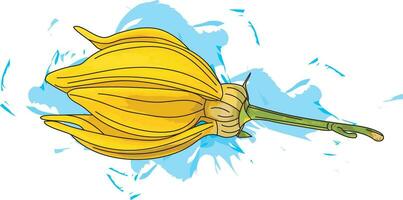 Abstract of climbing ylang-ylang flower on color spread background. vector